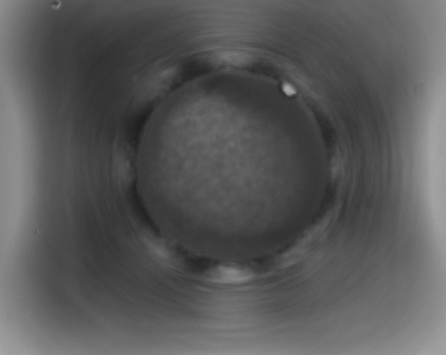 X0000114580464200910191527