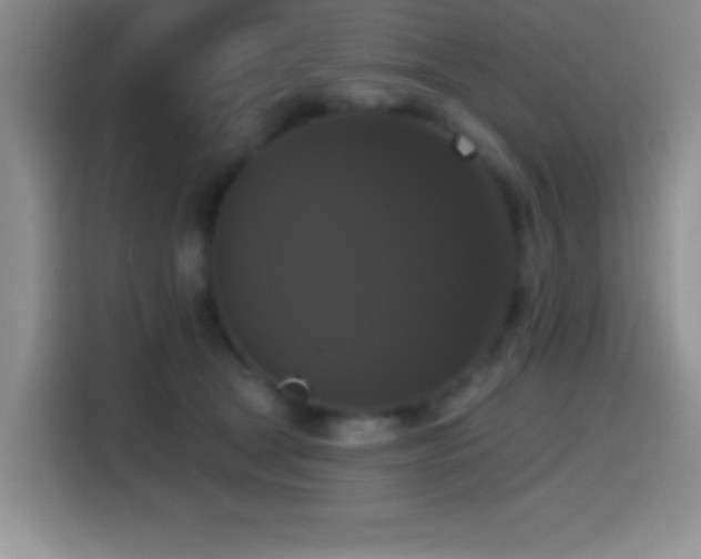 X0000114580465200910191527