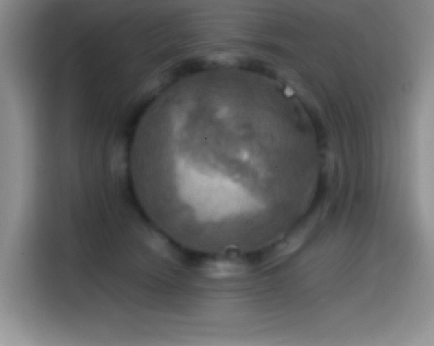 X0000114580466200910191527