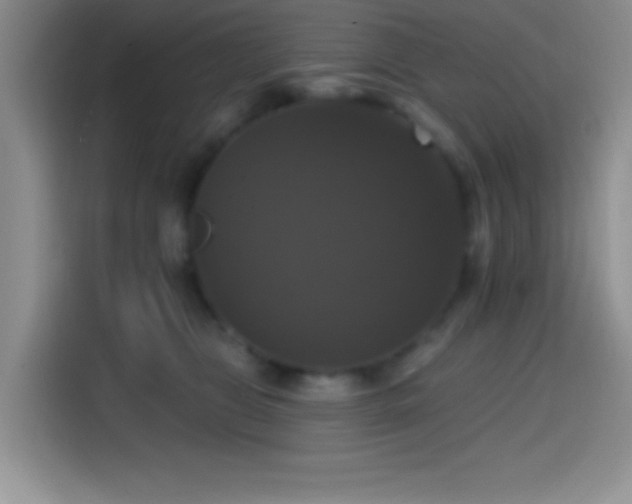 X0000114580469200910191527