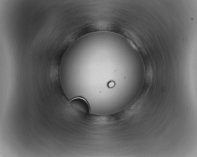 X0000114580473200910191527