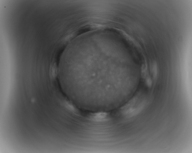 X0000114580474200910191527