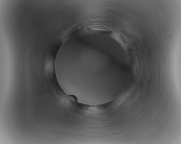 X0000114580475200910191527