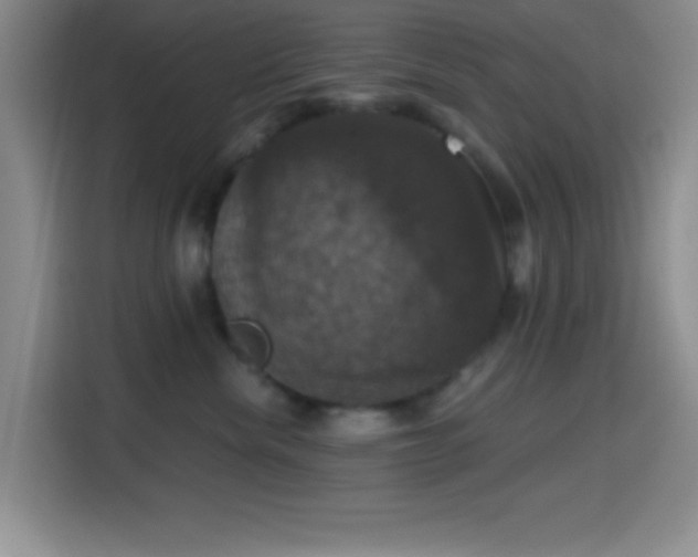 X0000114580476200910191527