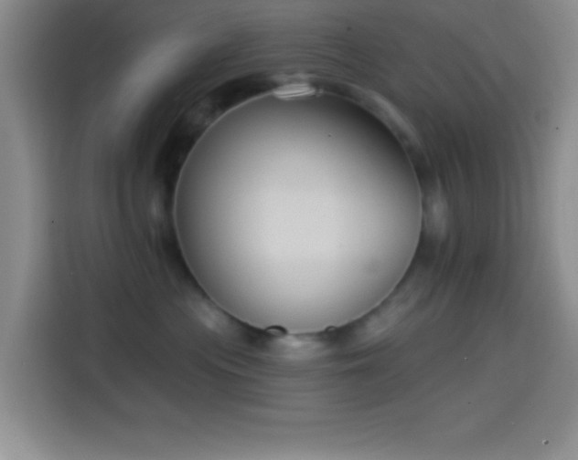 X0000114580477200910191527