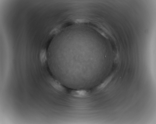 X0000114580478200910191527