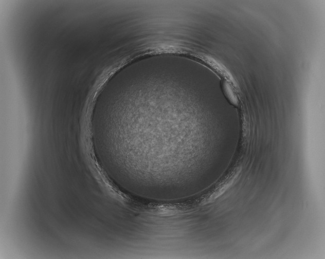 X0000114580481200910191526