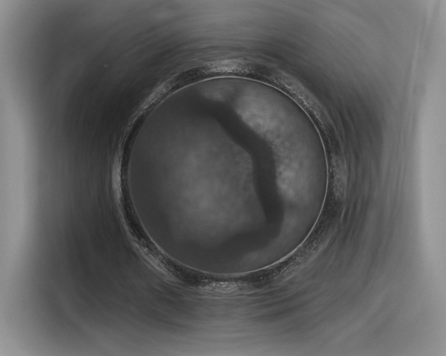 X0000114580482200910191526