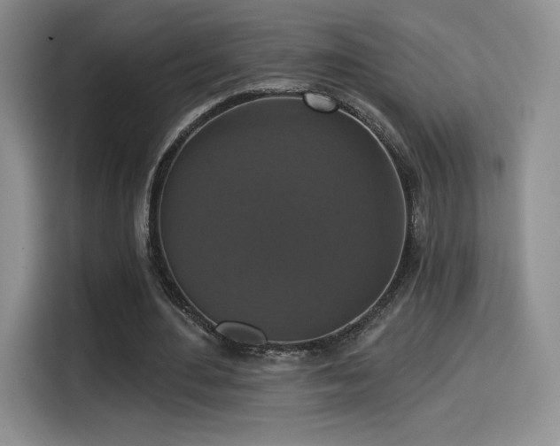 X0000114580484200910191526