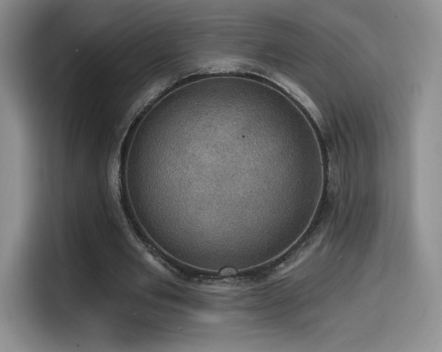 X0000114580485200910191526