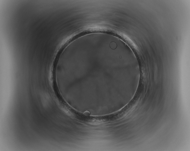 X0000114580487200910191526