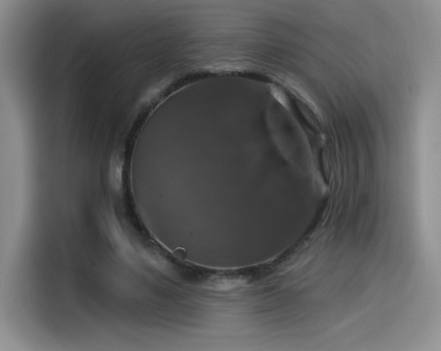 X0000114580491200910191526