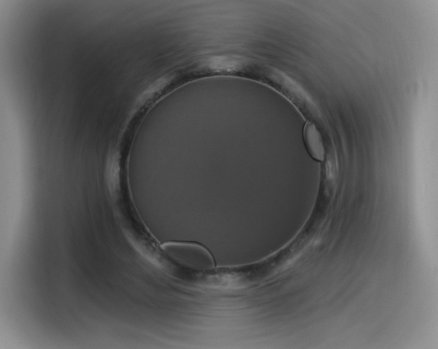 X0000114580492200910191526