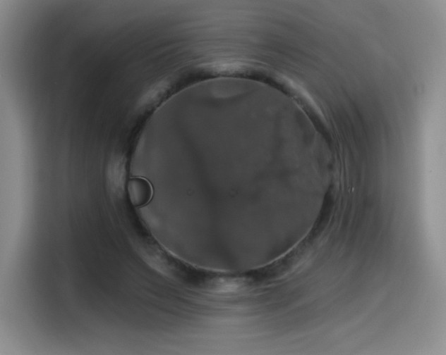 X0000114580495200910191526