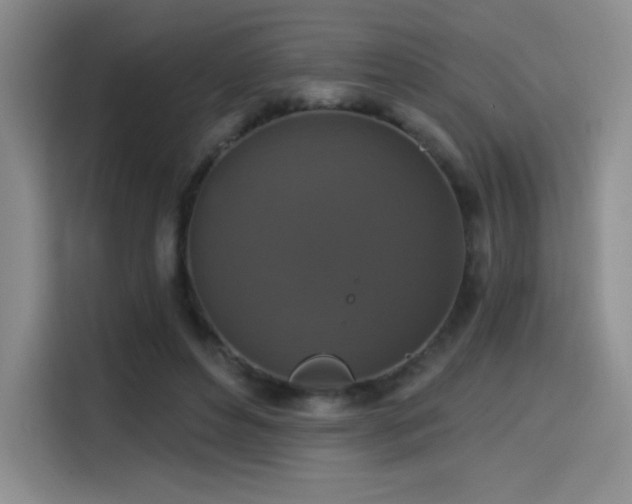 X0000114580496200910191526