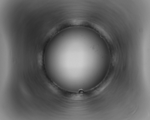 X0000114580497200910191526