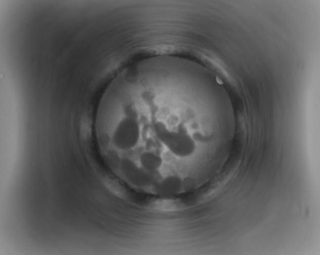 X0000114580499200910191526