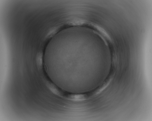 X0000114580501200910191526