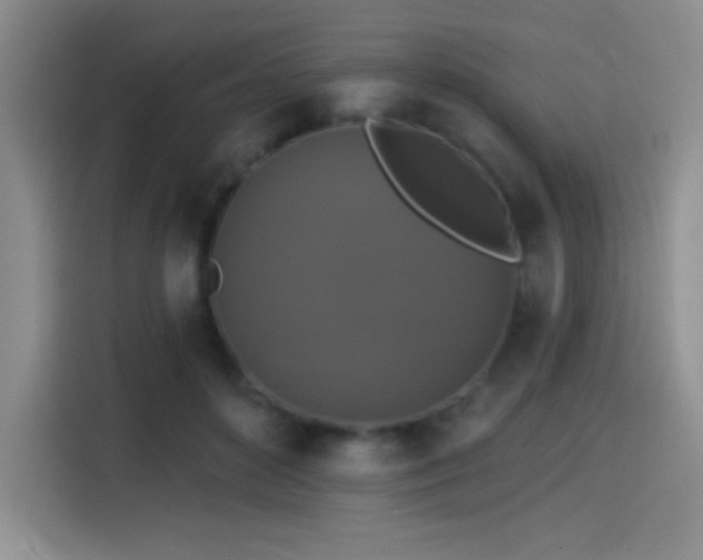 X0000114580504200910191526