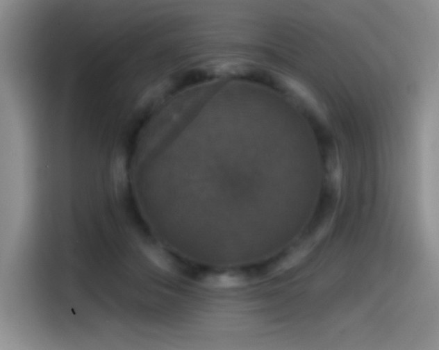 X0000114580506200910191526