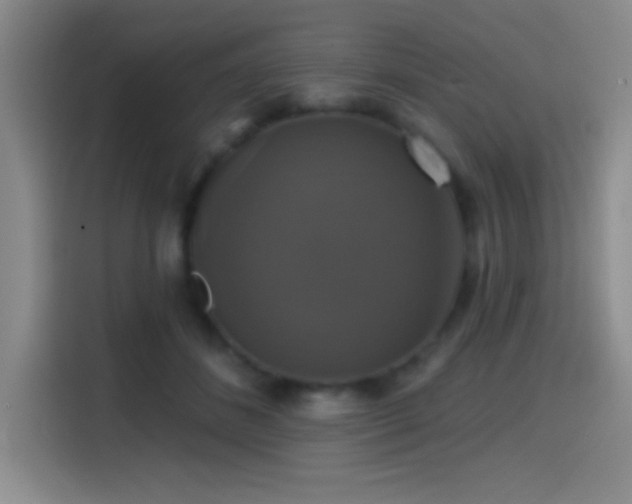 X0000114580508200910191526