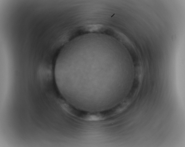 X0000114580510200910191526