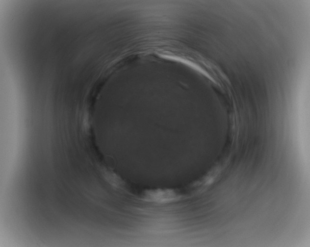 X0000114580517200910191526