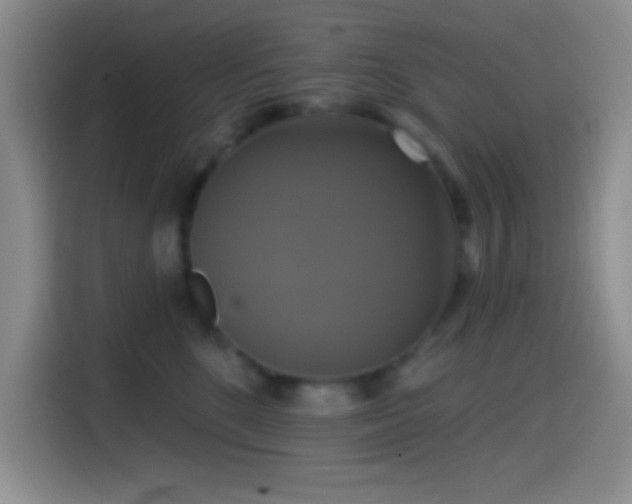 X0000114580520200910191526