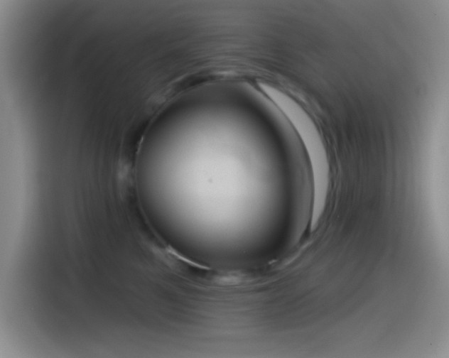 X0000114580521200910191526