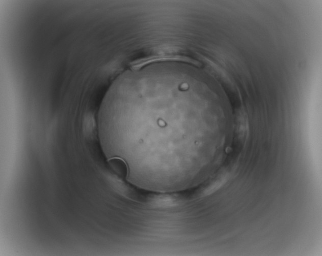 X0000114580523200910191526