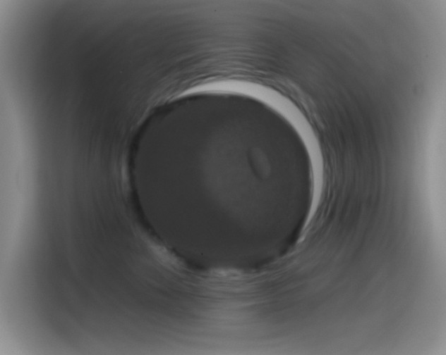 X0000114580524200910191526