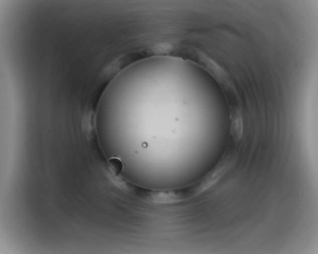 X0000114580525200910191526