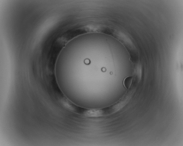 X0000114580526200910191526