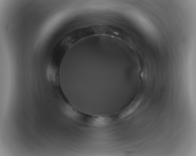 X0000114580527200910191526