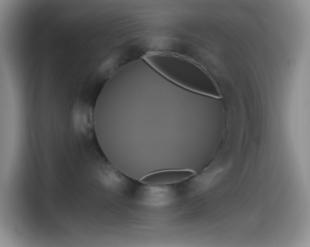 X0000114580528200910191526