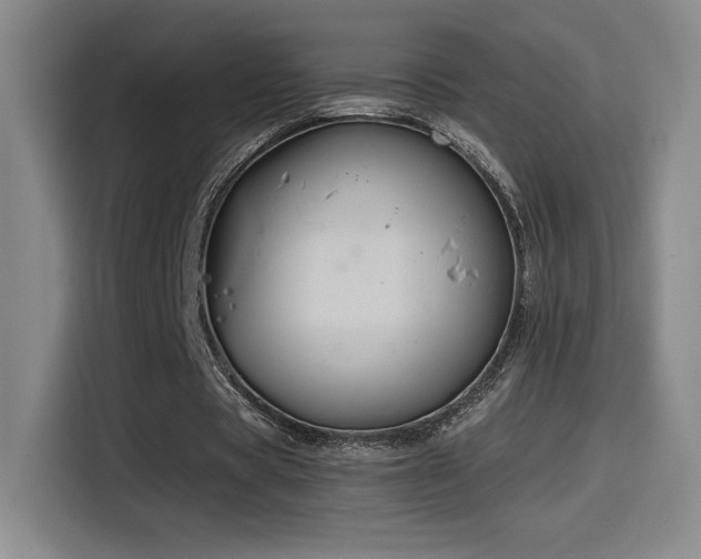 X0000114580529200910191525