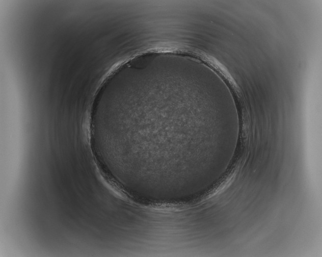 X0000114580530200910191525