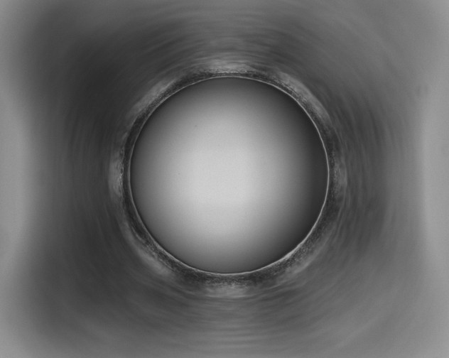 X0000114580533200910191525