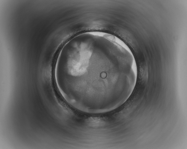 X0000114580534200910191525