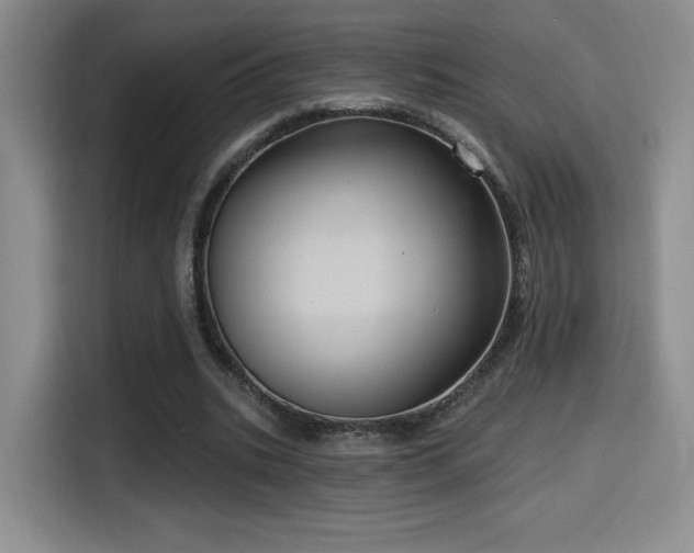 X0000114580535200910191525