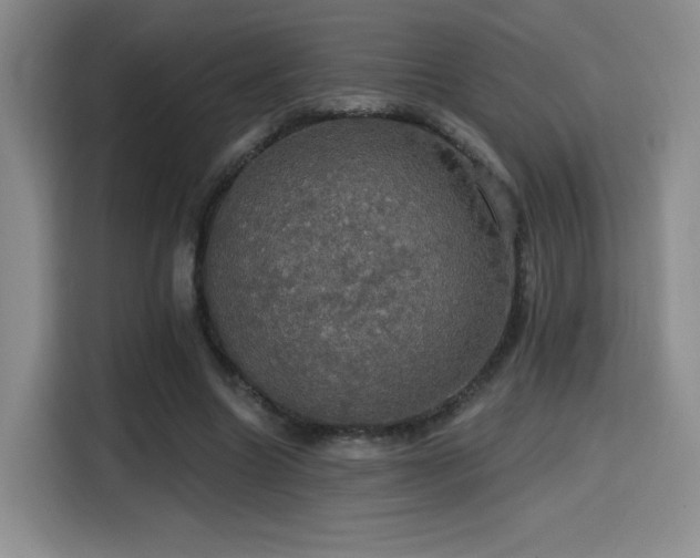 X0000114580538200910191525