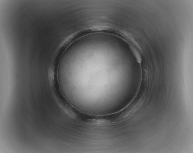 X0000114580539200910191525