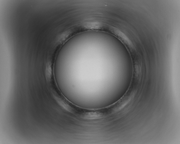 X0000114580541200910191525