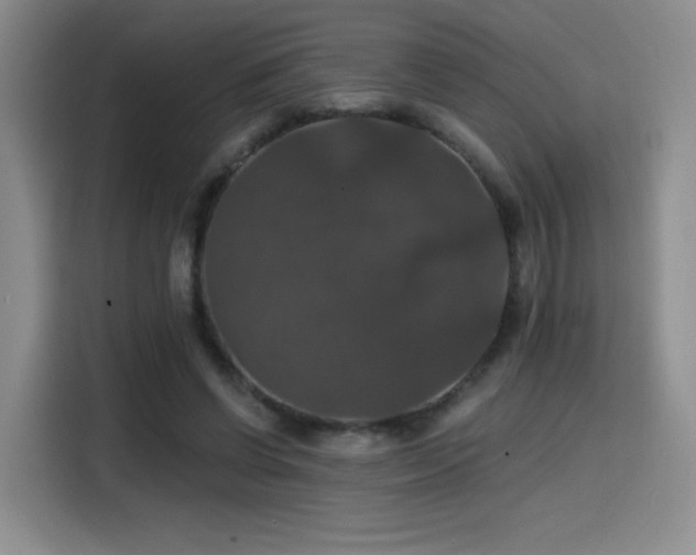 X0000114580542200910191525