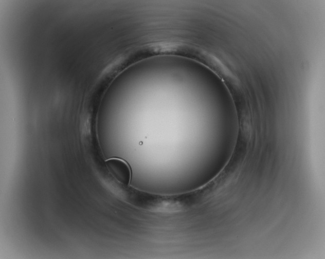 X0000114580543200910191525