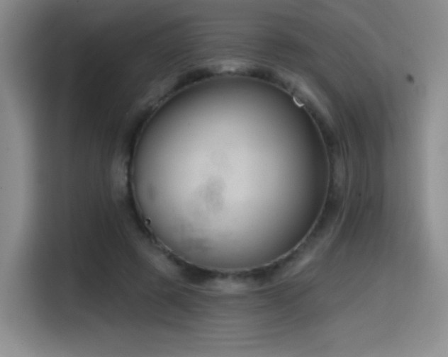 X0000114580545200910191525