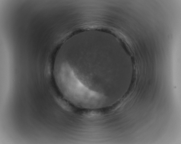 X0000114580546200910191525