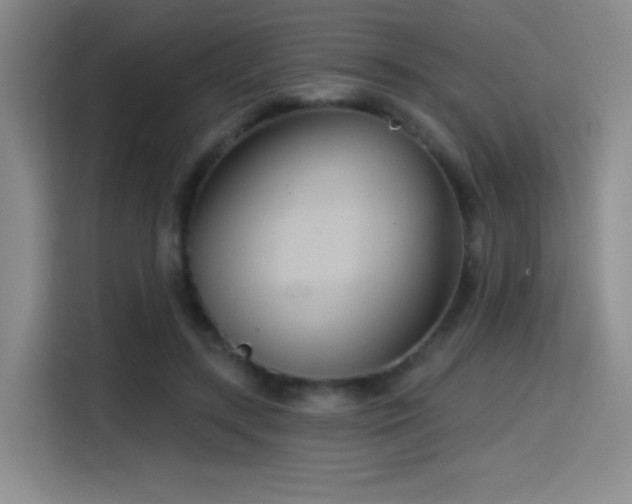 X0000114580547200910191525