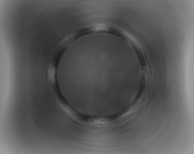 X0000114580550200910191525