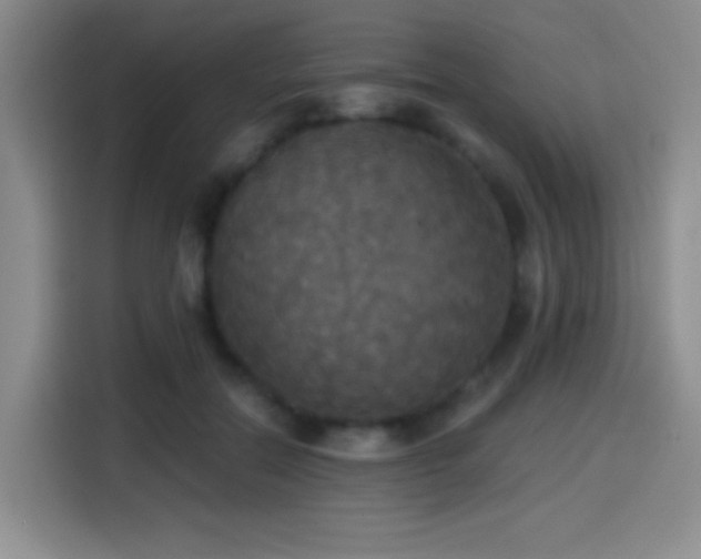 X0000114580554200910191525